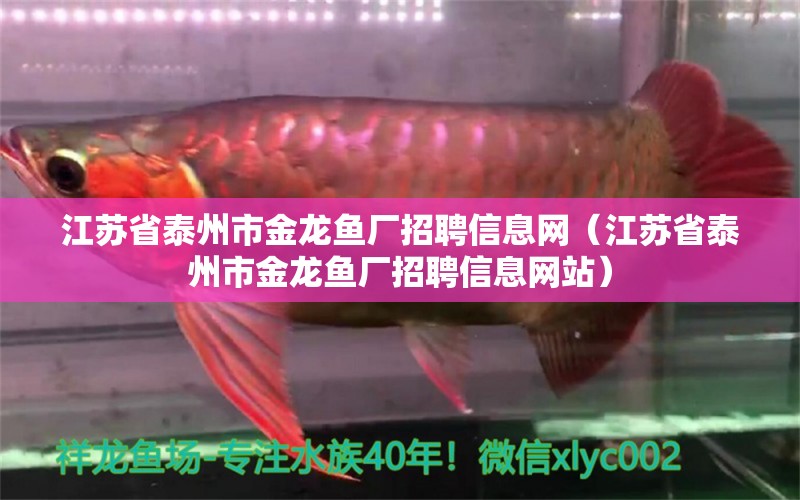 江蘇省泰州市金龍魚廠招聘信息網(wǎng)（江蘇省泰州市金龍魚廠招聘信息網(wǎng)站）