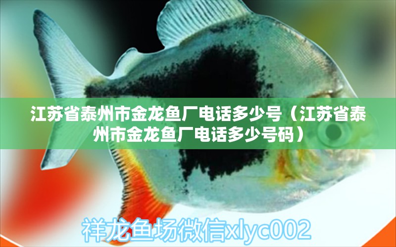 江蘇省泰州市金龍魚廠電話多少號(hào)（江蘇省泰州市金龍魚廠電話多少號(hào)碼）