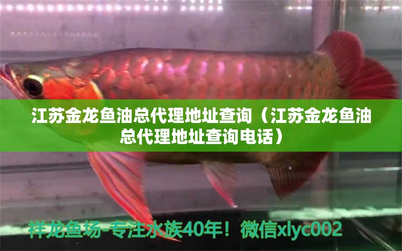 江蘇金龍魚油總代理地址查詢（江蘇金龍魚油總代理地址查詢電話） 祥龍水族醫(yī)院