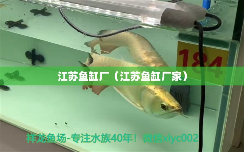 江蘇魚缸廠（江蘇魚缸廠家）