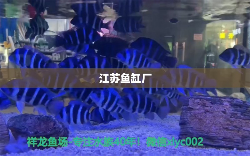 江蘇魚缸廠