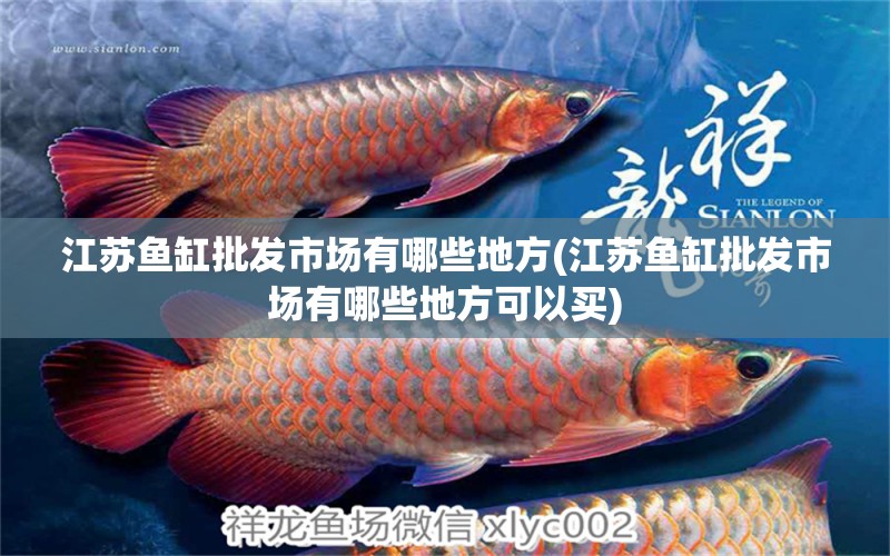 江蘇魚缸批發(fā)市場(chǎng)有哪些地方(江蘇魚缸批發(fā)市場(chǎng)有哪些地方可以買) 魚缸水質(zhì)穩(wěn)定劑