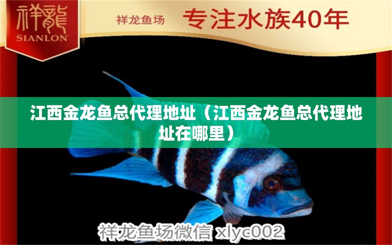 江西金龍魚總代理地址（江西金龍魚總代理地址在哪里）