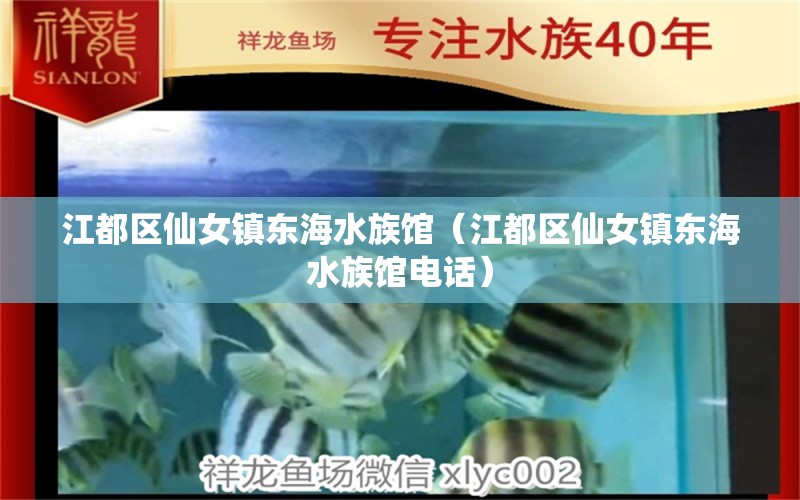 江都區(qū)仙女鎮(zhèn)東海水族館（江都區(qū)仙女鎮(zhèn)東海水族館電話）