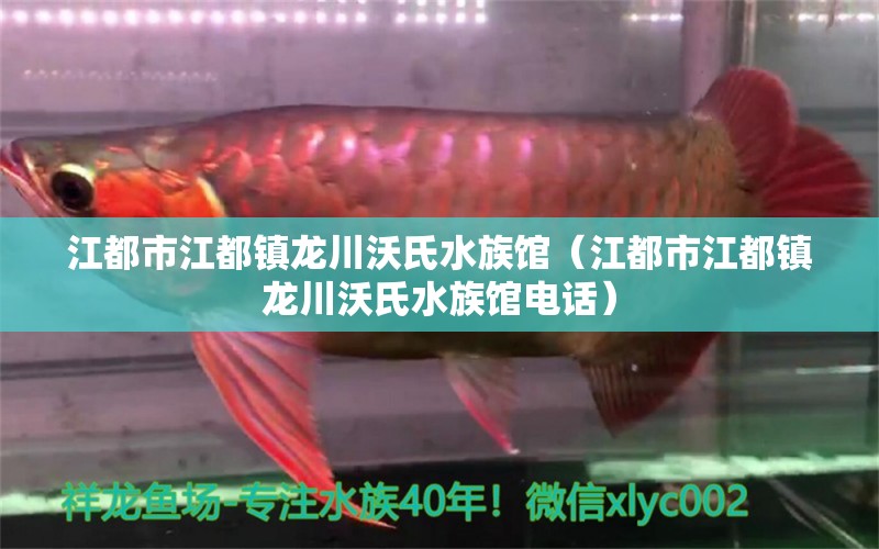 江都市江都鎮(zhèn)龍川沃氏水族館（江都市江都鎮(zhèn)龍川沃氏水族館電話）