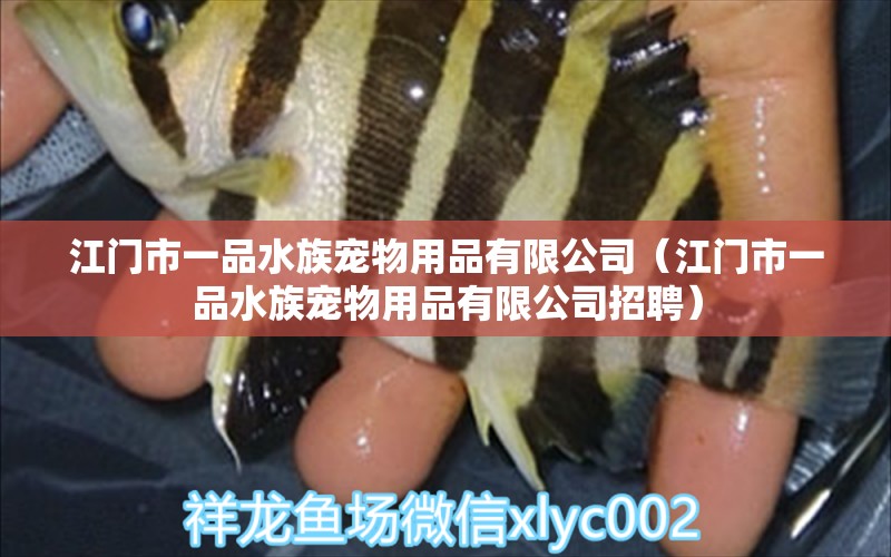 江門市一品水族寵物用品有限公司（江門市一品水族寵物用品有限公司招聘） 全國水族館企業(yè)名錄