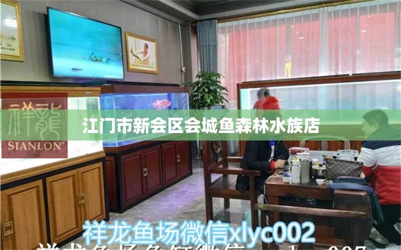 江門市新會區(qū)會城魚森林水族店 全國水族館企業(yè)名錄