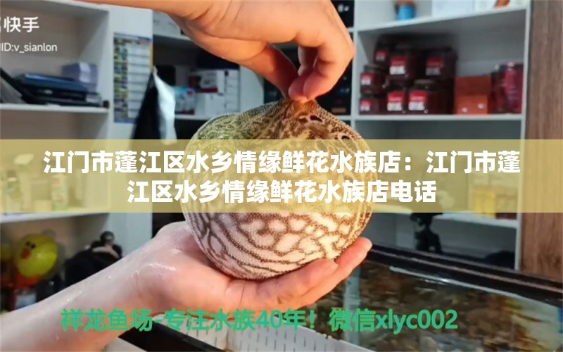 江門市蓬江區(qū)水鄉(xiāng)情緣鮮花水族店：江門市蓬江區(qū)水鄉(xiāng)情緣鮮花水族店電話 全國水族館企業(yè)名錄