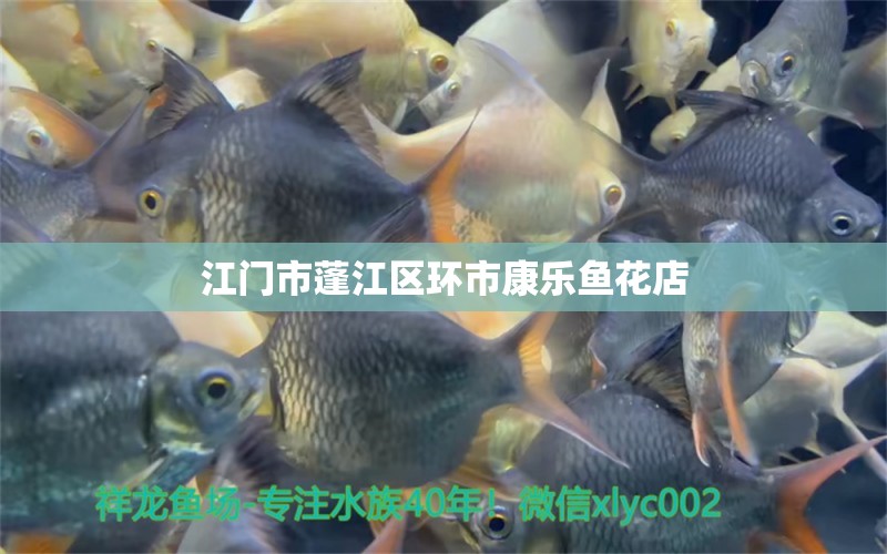 江門市蓬江區(qū)環(huán)市康樂魚花店 全國水族館企業(yè)名錄