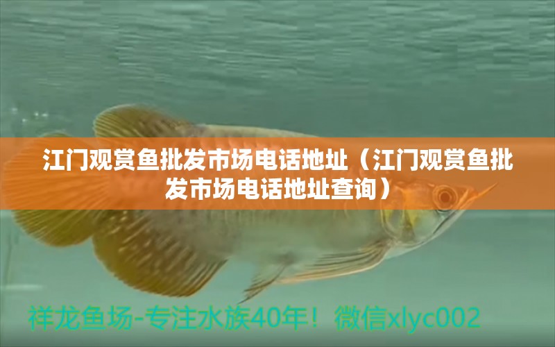 江門觀賞魚批發(fā)市場電話地址（江門觀賞魚批發(fā)市場電話地址查詢）