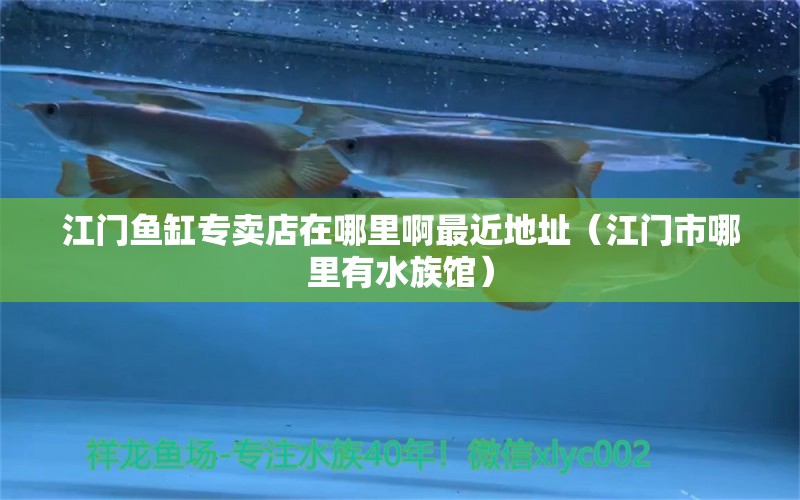 江門魚缸專賣店在哪里啊最近地址（江門市哪里有水族館）