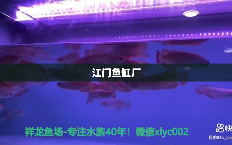 江門魚缸廠 其他品牌魚缸