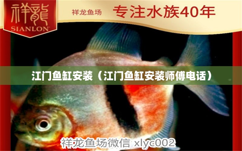 江門魚缸安裝（江門魚缸安裝師傅電話） 祥龍水族醫(yī)院