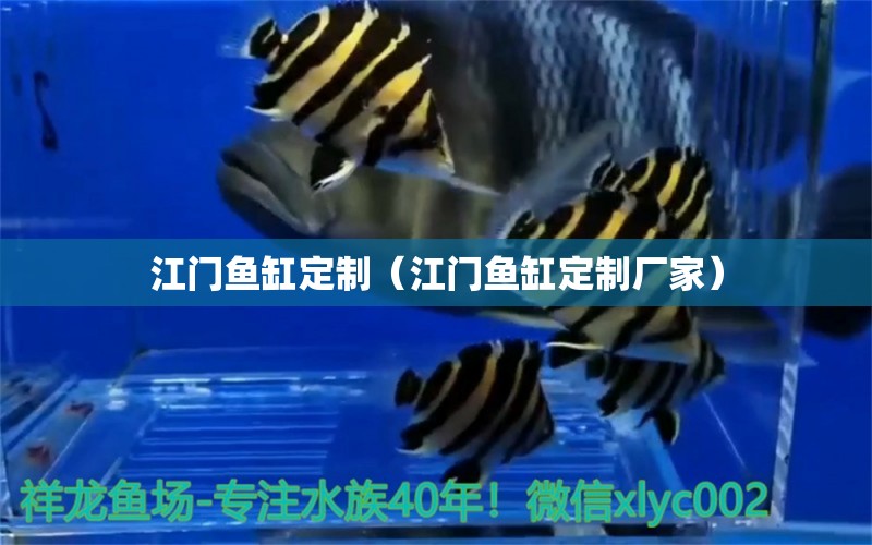 江門魚缸定制（江門魚缸定制廠家） 其他品牌魚缸