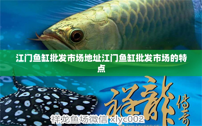 江門魚缸批發(fā)市場地址江門魚缸批發(fā)市場的特點