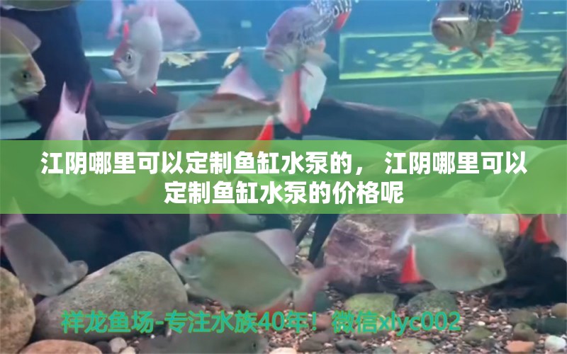 江陰哪里可以定制魚缸水泵的， 江陰哪里可以定制魚缸水泵的價格呢