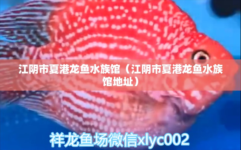 江陰市夏港龍魚(yú)水族館（江陰市夏港龍魚(yú)水族館地址） 全國(guó)水族館企業(yè)名錄