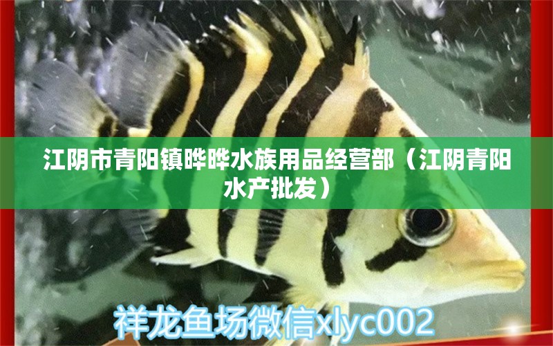 江陰市青陽鎮(zhèn)曄曄水族用品經(jīng)營部（江陰青陽水產(chǎn)批發(fā)） 水族用品