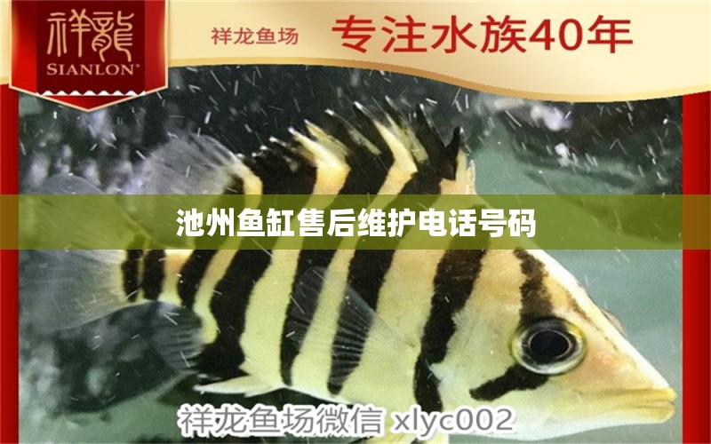 池州魚缸售后維護電話號碼 其他品牌魚缸