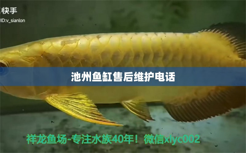 池州魚(yú)缸售后維護(hù)電話