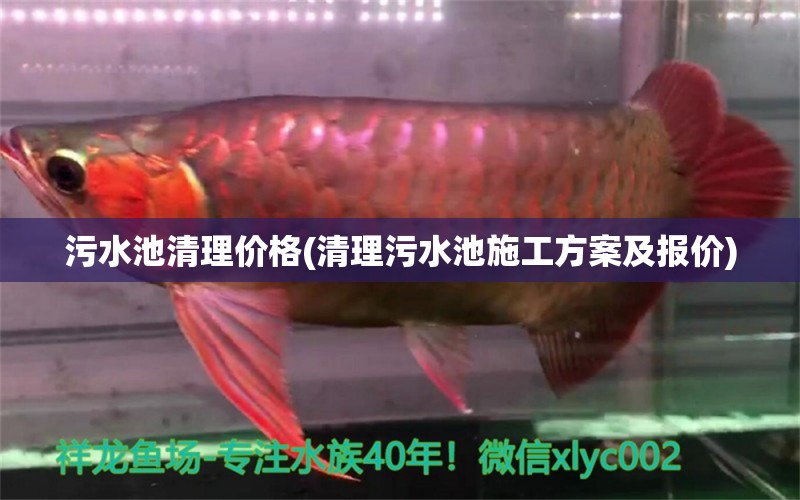 污水池清理價格(清理污水池施工方案及報價) 粗線銀版魚苗