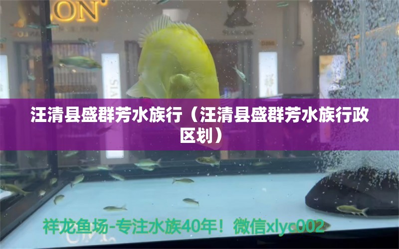 汪清縣盛群芳水族行（汪清縣盛群芳水族行政區(qū)劃）