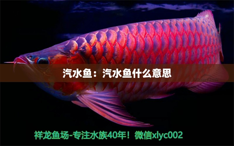 汽水魚：汽水魚什么意思