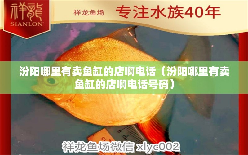 汾陽(yáng)哪里有賣(mài)魚(yú)缸的店啊電話（汾陽(yáng)哪里有賣(mài)魚(yú)缸的店啊電話號(hào)碼）