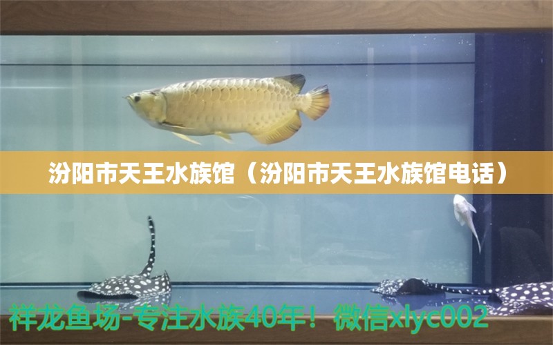 汾陽市天王水族館（汾陽市天王水族館電話）