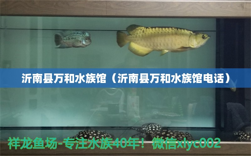 沂南縣萬和水族館（沂南縣萬和水族館電話） 全國水族館企業(yè)名錄