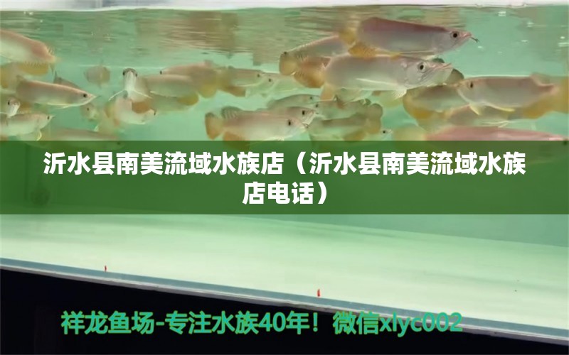 沂水縣南美流域水族店（沂水縣南美流域水族店電話） 全國水族館企業(yè)名錄