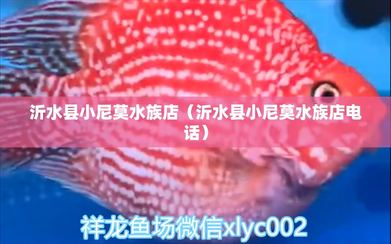 沂水縣小尼莫水族店（沂水縣小尼莫水族店電話） 全國水族館企業(yè)名錄