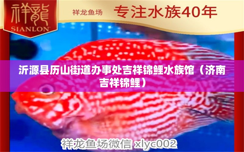 沂源縣歷山街道辦事處吉祥錦鯉水族館（濟(jì)南吉祥錦鯉）