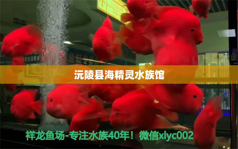 沅陵縣海精靈水族館