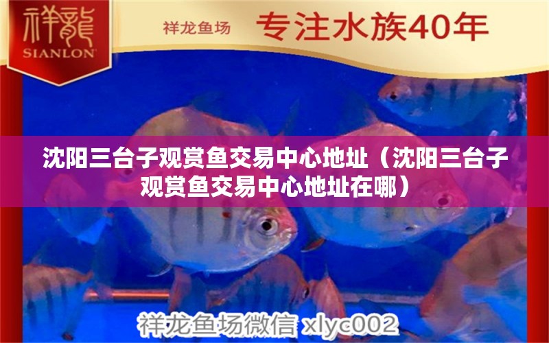 沈陽三臺子觀賞魚交易中心地址（沈陽三臺子觀賞魚交易中心地址在哪）