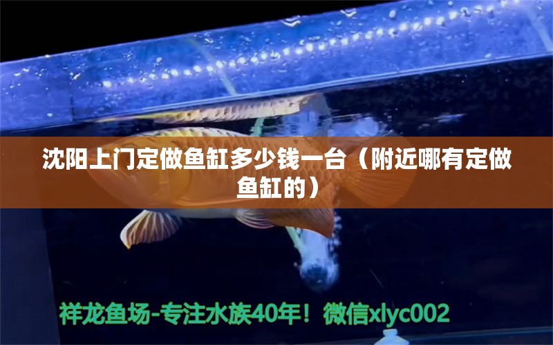 沈陽(yáng)上門(mén)定做魚(yú)缸多少錢(qián)一臺(tái)（附近哪有定做魚(yú)缸的）