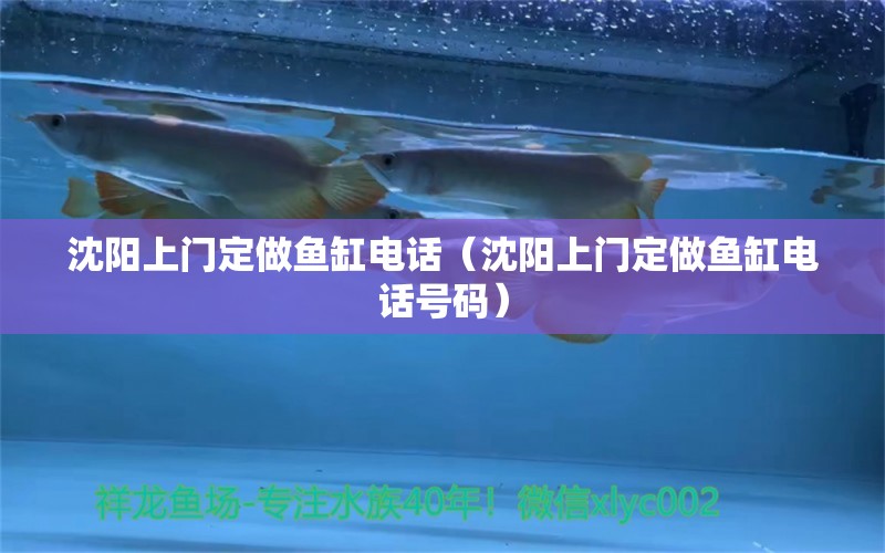 沈陽上門定做魚缸電話（沈陽上門定做魚缸電話號碼） 量子養(yǎng)魚技術