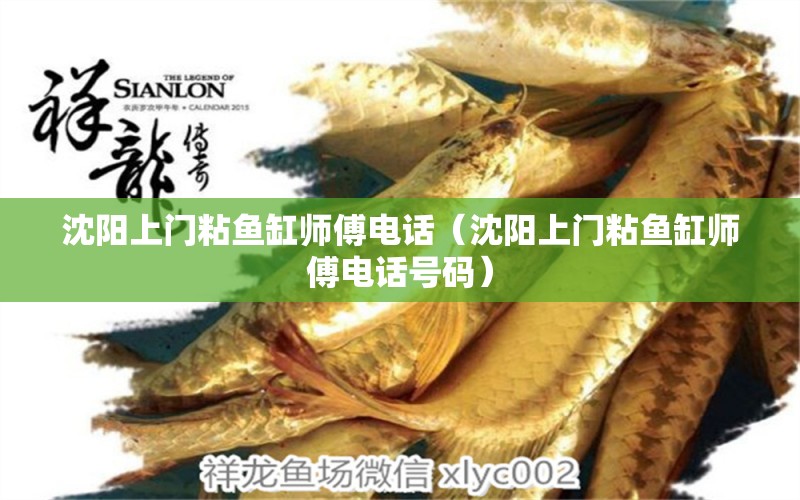 沈陽(yáng)上門粘魚缸師傅電話（沈陽(yáng)上門粘魚缸師傅電話號(hào)碼） 龍鳳鯉魚