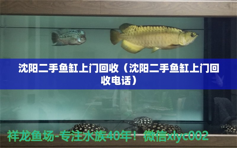 沈陽(yáng)二手魚(yú)缸上門(mén)回收（沈陽(yáng)二手魚(yú)缸上門(mén)回收電話）