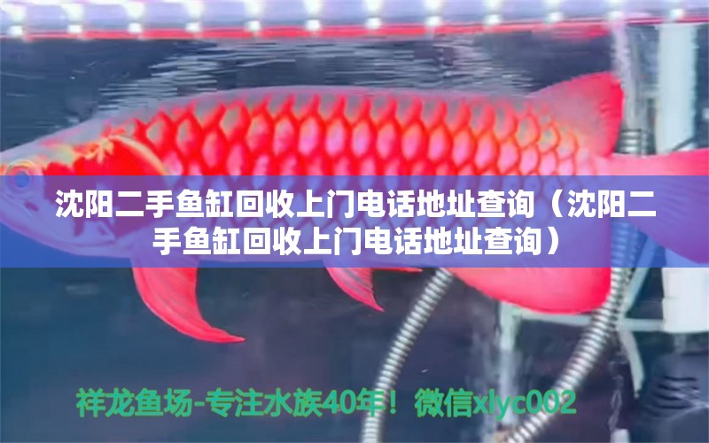 沈陽(yáng)二手魚(yú)缸回收上門(mén)電話地址查詢(xún)（沈陽(yáng)二手魚(yú)缸回收上門(mén)電話地址查詢(xún)）