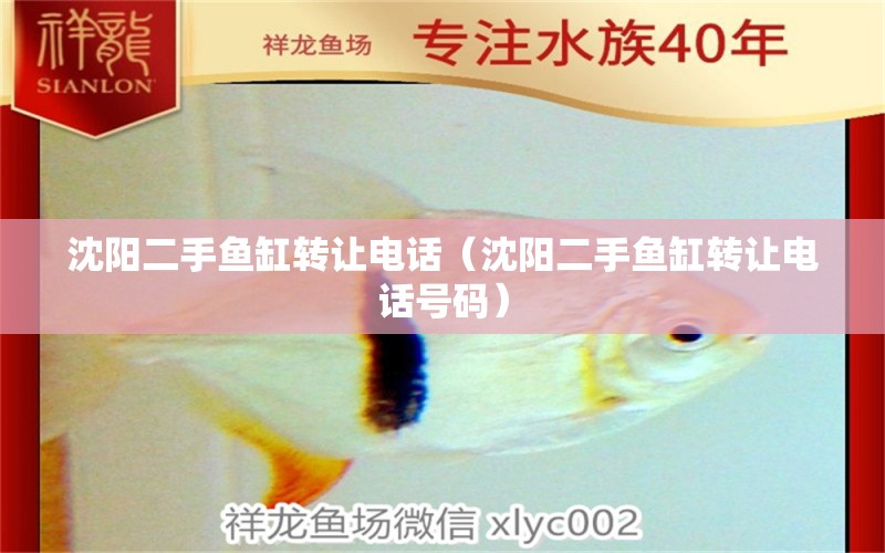 沈陽二手魚缸轉讓電話（沈陽二手魚缸轉讓電話號碼）