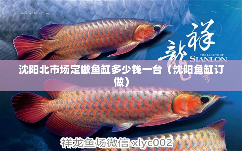 沈陽北市場定做魚缸多少錢一臺(tái)（沈陽魚缸訂做）