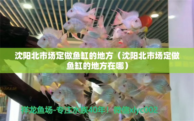 沈陽(yáng)北市場(chǎng)定做魚缸的地方（沈陽(yáng)北市場(chǎng)定做魚缸的地方在哪） 紅白錦鯉魚