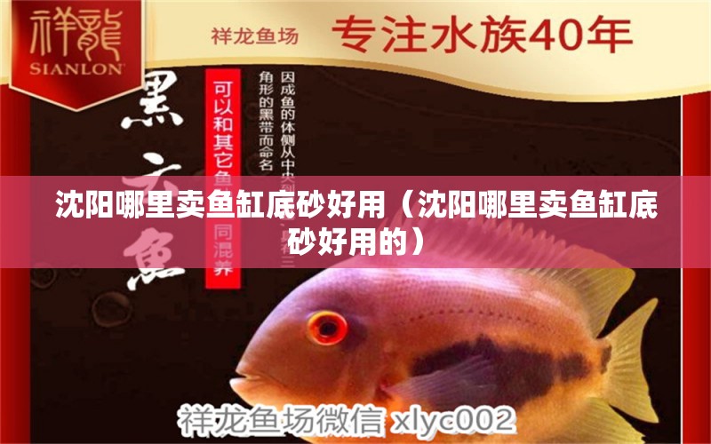 沈陽哪里賣魚缸底砂好用（沈陽哪里賣魚缸底砂好用的） 祥龍水族醫(yī)院