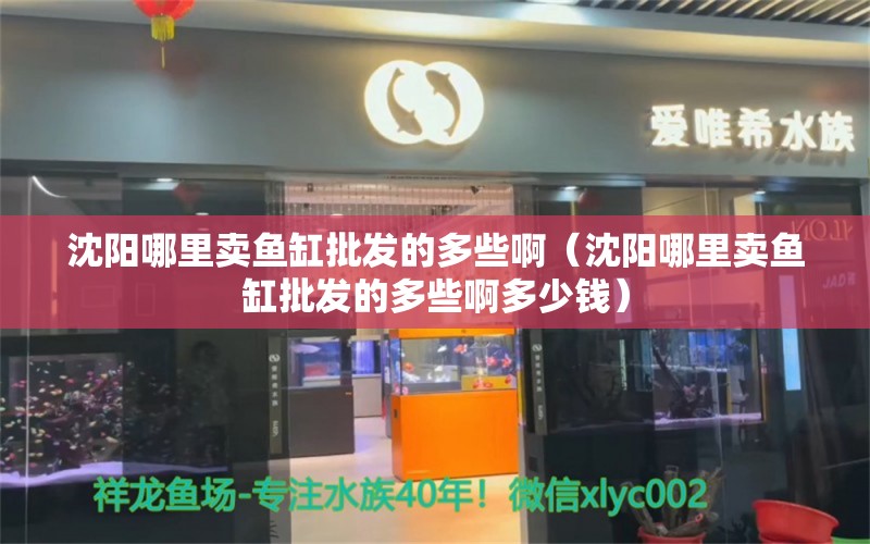 沈陽哪里賣魚缸批發(fā)的多些?。ㄉ蜿柲睦镔u魚缸批發(fā)的多些啊多少錢） 觀賞魚市場（混養(yǎng)魚）