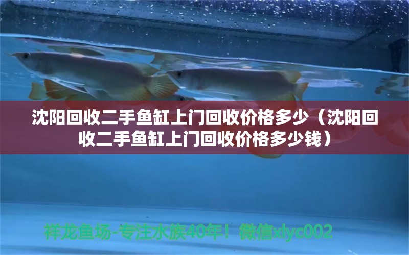 沈陽(yáng)回收二手魚(yú)缸上門(mén)回收價(jià)格多少（沈陽(yáng)回收二手魚(yú)缸上門(mén)回收價(jià)格多少錢(qián)）