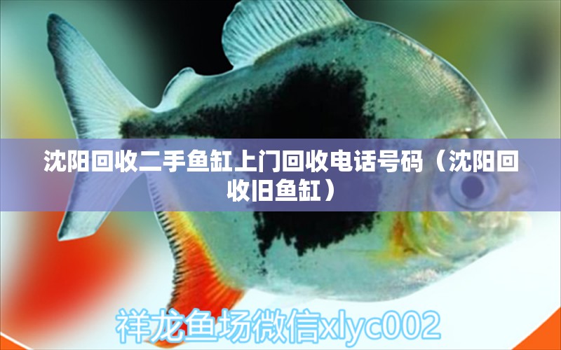 沈陽(yáng)回收二手魚缸上門回收電話號(hào)碼（沈陽(yáng)回收舊魚缸） 野生地圖魚