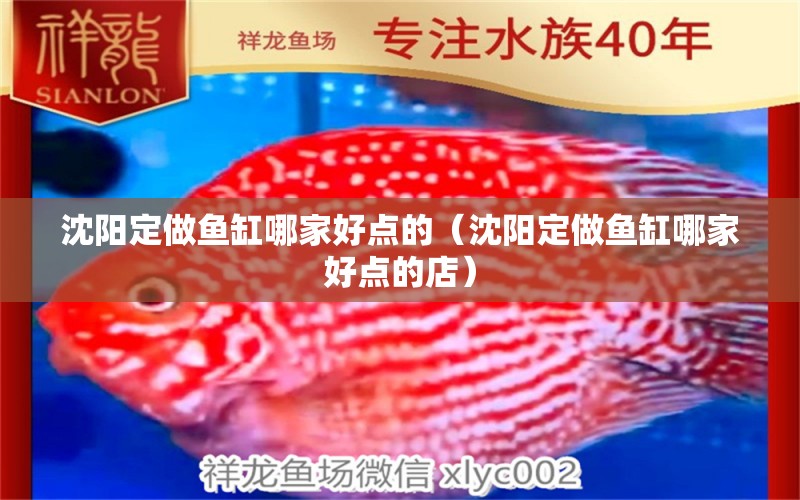 沈陽(yáng)定做魚缸哪家好點(diǎn)的（沈陽(yáng)定做魚缸哪家好點(diǎn)的店） 巴西亞魚