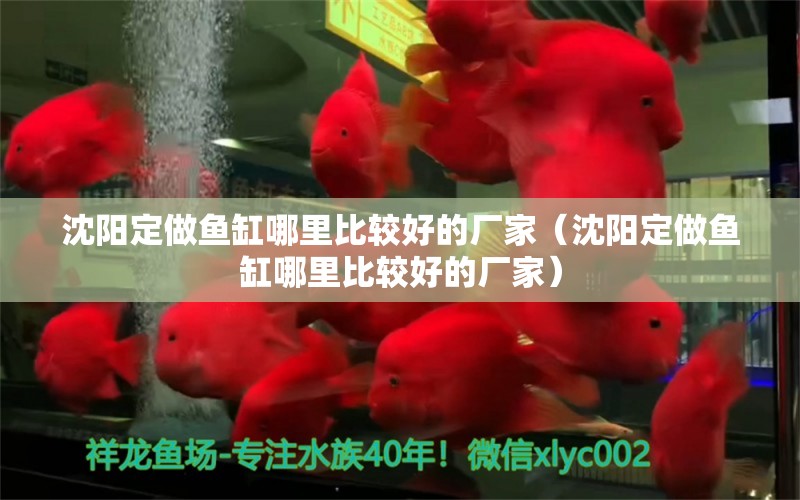 沈陽定做魚缸哪里比較好的廠家（沈陽定做魚缸哪里比較好的廠家）