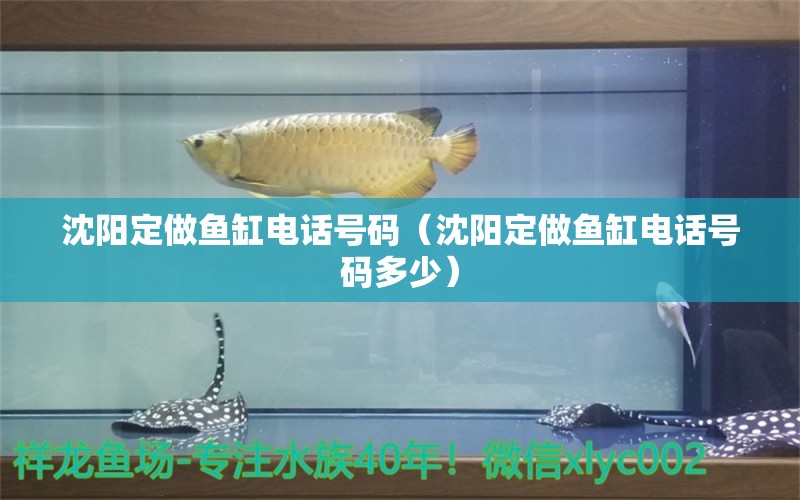 沈陽(yáng)定做魚缸電話號(hào)碼（沈陽(yáng)定做魚缸電話號(hào)碼多少） 其他品牌魚缸